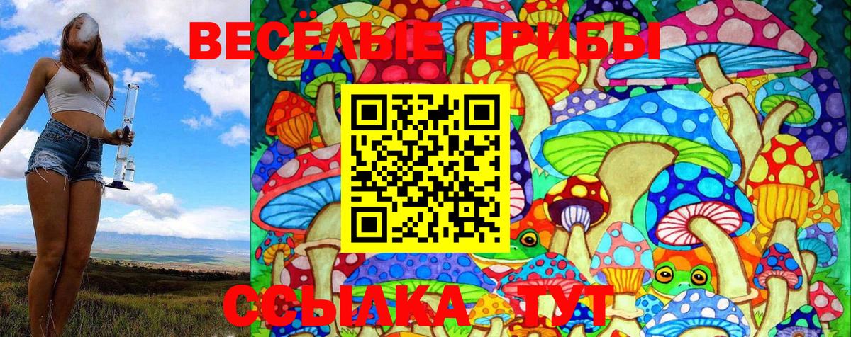 Псилоцибиновые грибы GOLDEN TEACHER  Вход с VPN  сколько стоит  Вичуга 