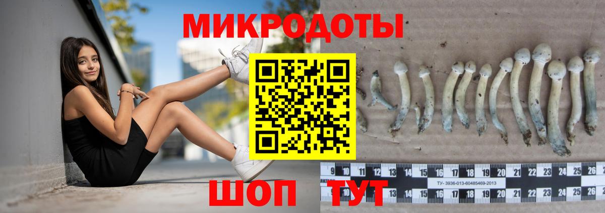 Галлюциногенные грибы MAGIC MUSHROOMS Вичуга